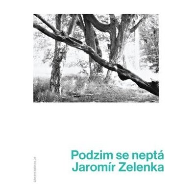 Podzim se neptá - Jaromír Zelenka