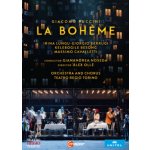 La Bohme: Teatro Regio Torino - Noseda - Alex Oll DVD – Hledejceny.cz