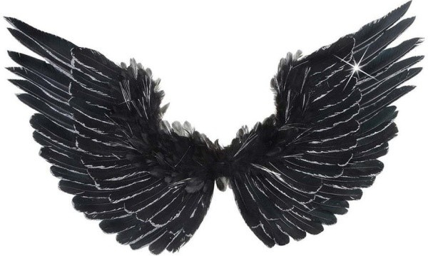 Černá křídla 86x42 cm od 510 Kč - Heureka.cz