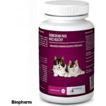 Univit Roboran MIX pro kočky 0,1 kg – Zboží Dáma