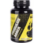 Bear Foot Tribulus Maca 120 kapslí – Hledejceny.cz