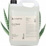 MASÁŽNÍ OLEJ REYA ALOE BOOST 5000 ML S VITAMÍNEM E – ZPEVŇUJE A HYDRATUJE HABYS – Sleviste.cz
