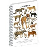 Animalium Spirálový blok Kočkovité šelmy čtverečkovaný A5 – Zboží Živě