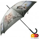 Kočky dámský deštník s potiskem – Zbozi.Blesk.cz