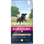 Eukanuba Puppy Large 2 x 15 kg – Sleviste.cz