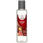 Vodnář Aroma Fruit Aqua 125 ml – Zbozi.Blesk.cz