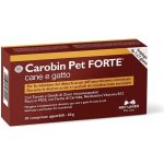 NBF Lanes carobin pet forte pes a kočka podpora v případě akutního průjmu 30 kps – Sleviste.cz