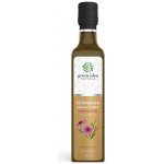Green idea Echinacea sirup třtinový 250 ml – Hledejceny.cz