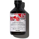 Davines Naturaltech Energizing Shampoo 250 ml – Zboží Mobilmania