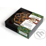 RecentToys C'est La Vie – Zboží Dáma