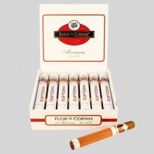 Flor de Copan Monarchas Tubes