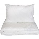 2G souprava Aloe Vera 40x60 100x135 – Zboží Dáma