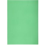 Karton P+P L A4 Obaly na doklady silné zelené 10 ks – Sleviste.cz