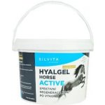 Hyalgel Horse ACTIVE 1,5 kg – Hledejceny.cz