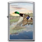Zippo Flying Duck 25656 – Hledejceny.cz