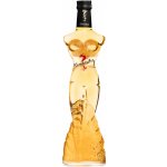 Kamasutra Žen Šen & Vodka 25% 0,5 l (holá láhev) – Hledejceny.cz