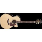 Takamine P5NC Natural – Zbozi.Blesk.cz