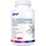 SFD NUTRITION Glukosamin Chondroitin + MSM Forte 120 kapsle – Hledejceny.cz