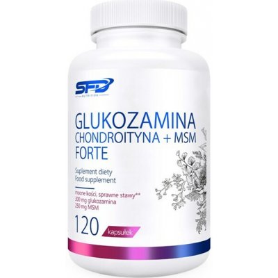 SFD NUTRITION Glukosamin Chondroitin + MSM Forte 120 kapsle – Hledejceny.cz