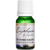 Vonný olej Euphoria Pro dobrou náladu aromaterapeutická směs přírodních silic 10 ml