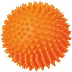 TRIXIE míč ježek svítící 10 cm – Hledejceny.cz