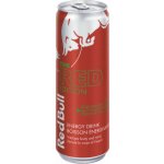 Red Bull Watermelon edition 250 ml – Sleviste.cz