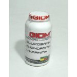Giom Chondro L-karnitin 400 g – Hledejceny.cz