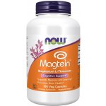 Now Foods Magtein Magnesium L-Threonate 180 kapslí – Hledejceny.cz