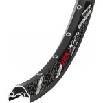 Remerx E-Rocky Disc – Zboží Dáma