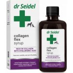 Derma-Pharm Dr. Seidel Sirup s kolagenem Flex 250 ml – Hledejceny.cz