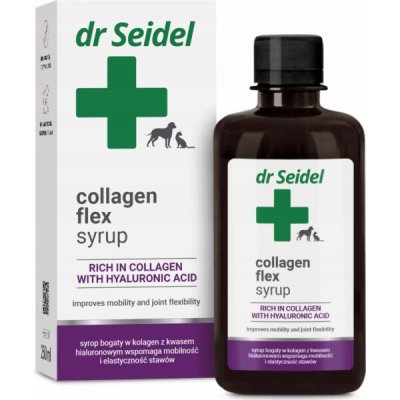 Derma-Pharm Dr. Seidel Sirup s kolagenem Flex 250 ml – Hledejceny.cz