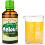 Bylinné kapky Meloun tinktura 50 ml – Hledejceny.cz