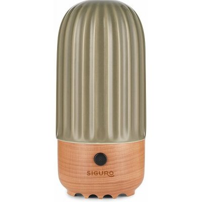 Siguro AD-C680E Dainty Cactus keramický – Zboží Dáma