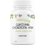 HillVital Glukosamin, Chondroitin, MSM 60 ks – Hledejceny.cz