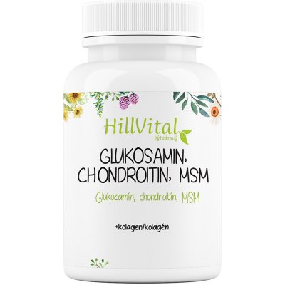 HillVital Glukosamin, Chondroitin, MSM 60 ks – Hledejceny.cz