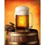 JERRY FABRICS deka mikroflanel s digitálním tiskem pivo 120x150 – Zboží Dáma