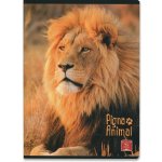 Pigna Školní sešit Animal A5 linkovaný – Hledejceny.cz