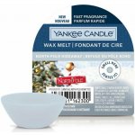 Yankee Candle vonný vosk North Pole Hideaway 22 g – Sleviste.cz