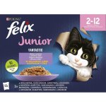 Felix Junior Fantastic lahodný výběr v želé 12 x 85 g – Sleviste.cz