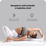 Vilgain Joint Support papája 360 g – Hledejceny.cz