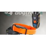 Dogtra výcvikový obojek 1202S – Hledejceny.cz