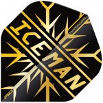 Red Dragon Gerwyn Price Iceman Hardcore - Snowflake - Gold RF6844 – Zbozi.Blesk.cz