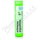 ECHINACEA ANGUSTIFOLIA POR 5CH GRA 1X4G – Hledejceny.cz