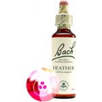 Bachovy květové esence Vřes obecný Heather 20 ml – Hledejceny.cz