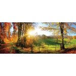 IMPOL TRADE 12108 VEP Vliesové fototapety slunce a les rozměr 250 cm x 104 cm – Hledejceny.cz