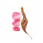 Giorgio Armani Si Intense parfémovaná voda dámská 50 ml tester – Zboží Dáma