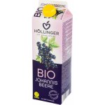 Hollinger Bio džus černý rybíz 1 l – Zbozi.Blesk.cz