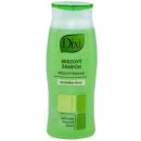 Šampon Dixi šampon březový 250 ml