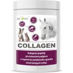Dromy Collagen 2,5 kg – Zboží Dáma