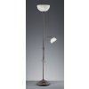 Stojací lampa Trio Leuchten R4632